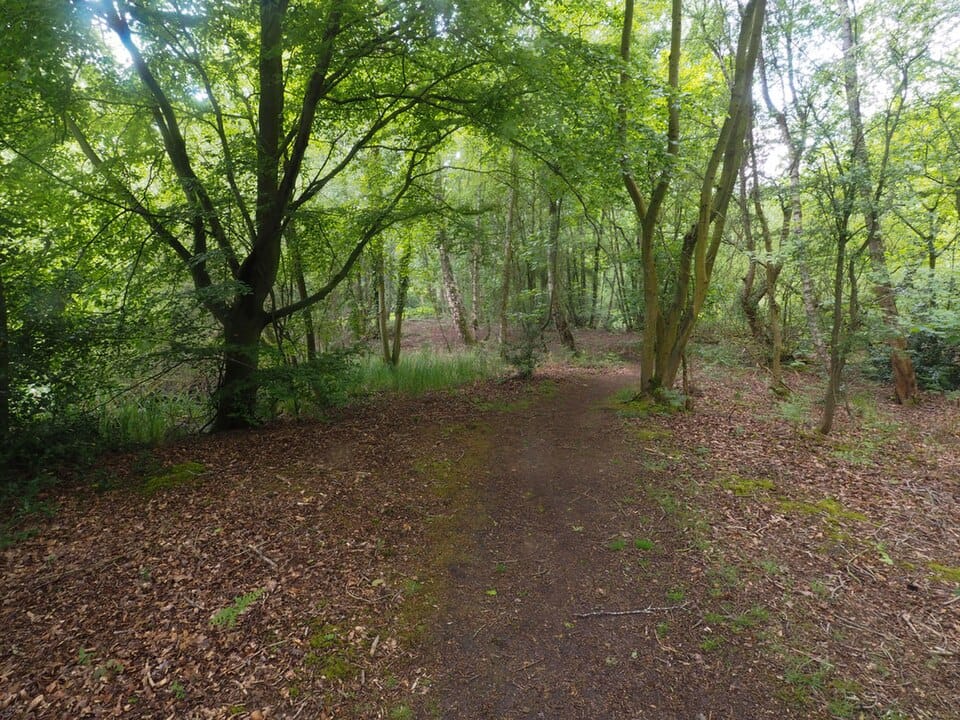 Thompson Water - Photo 1