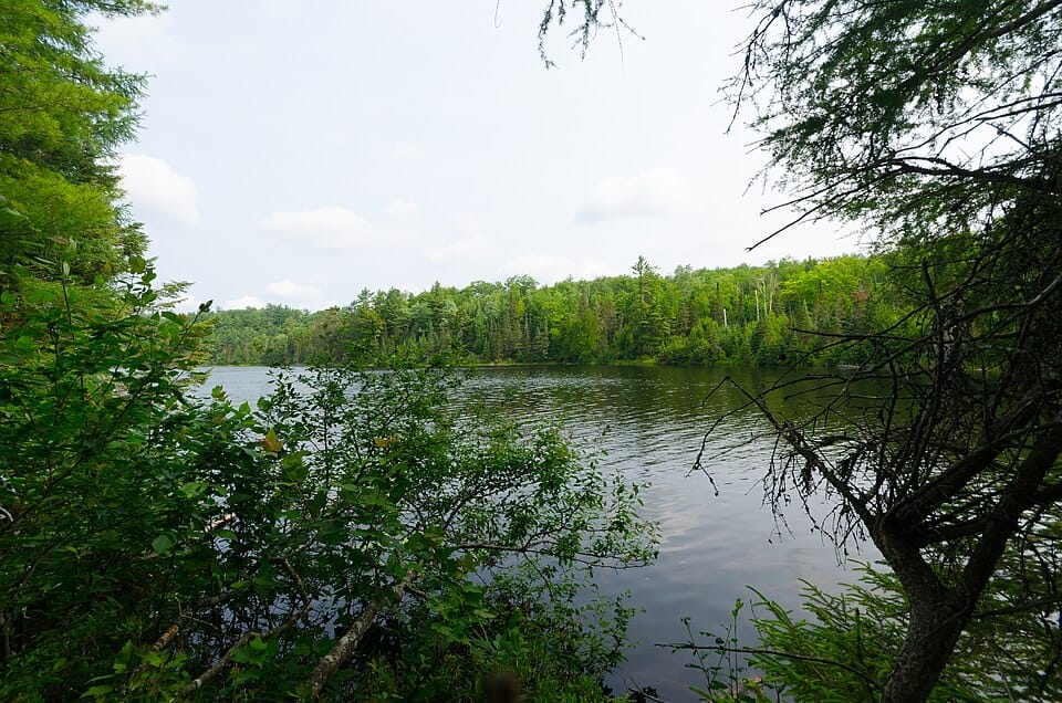 Lake Alva - Photo 1