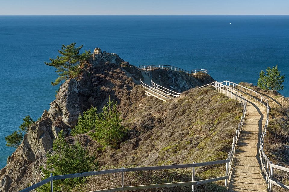 Muir Beach - Photo 1