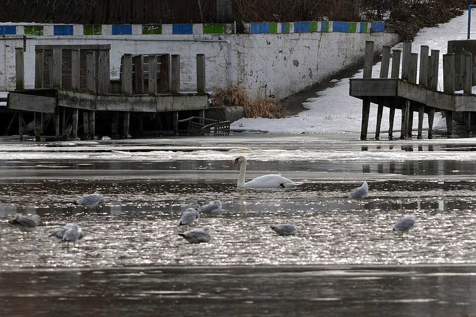 Fox River - Photo 1