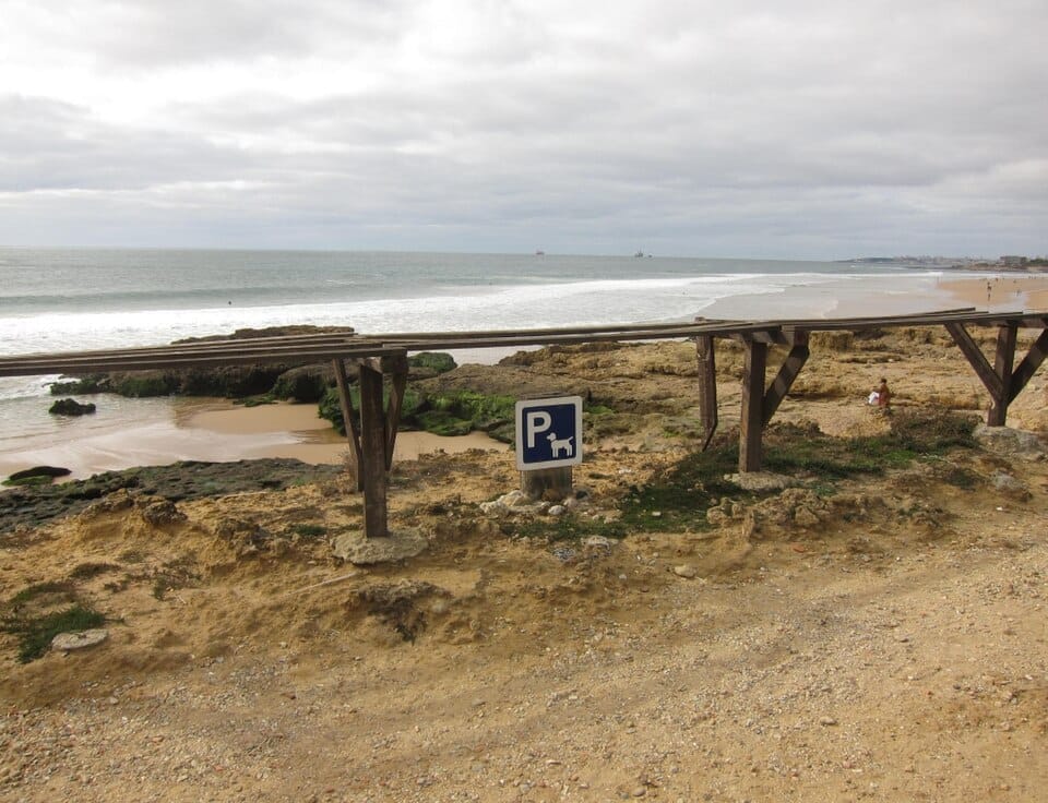 Bark Park Dog Beach - Photo 1