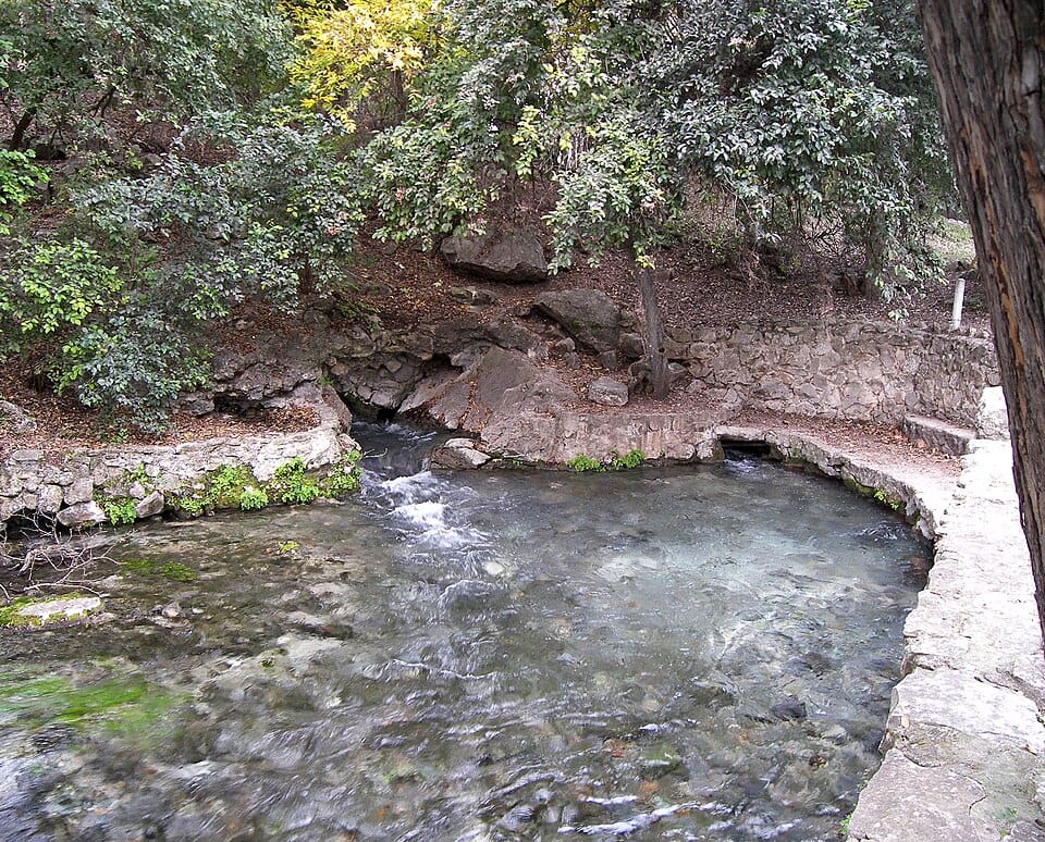 Comal Springs - Photo 1