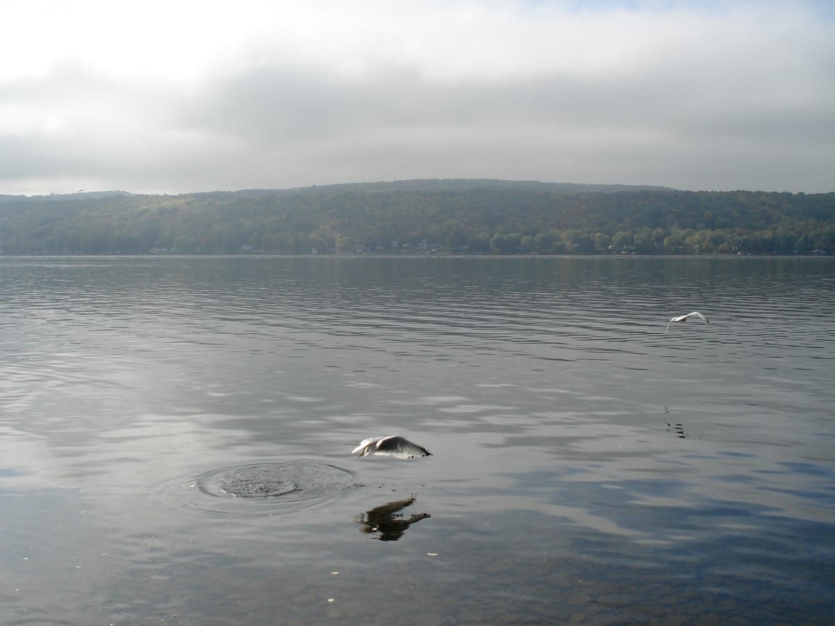 Honeoye Lake - Photo 1