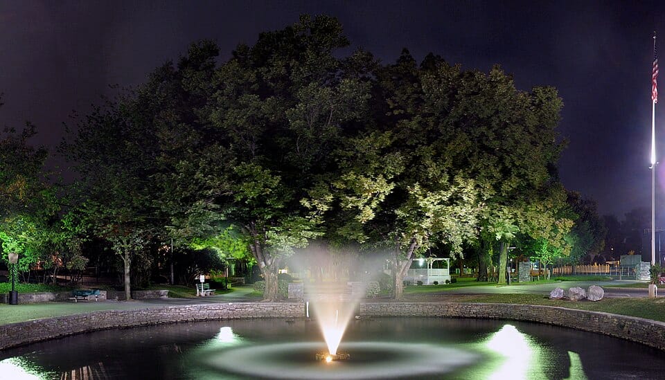 Duck Pond - Photo 1