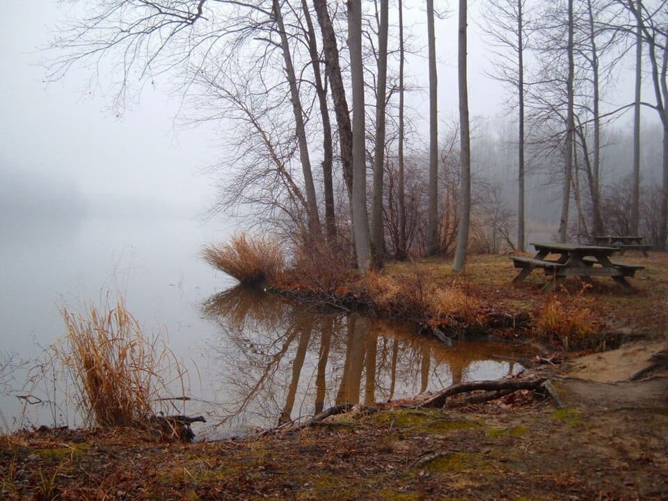 Lums Pond State Park - Photo 1