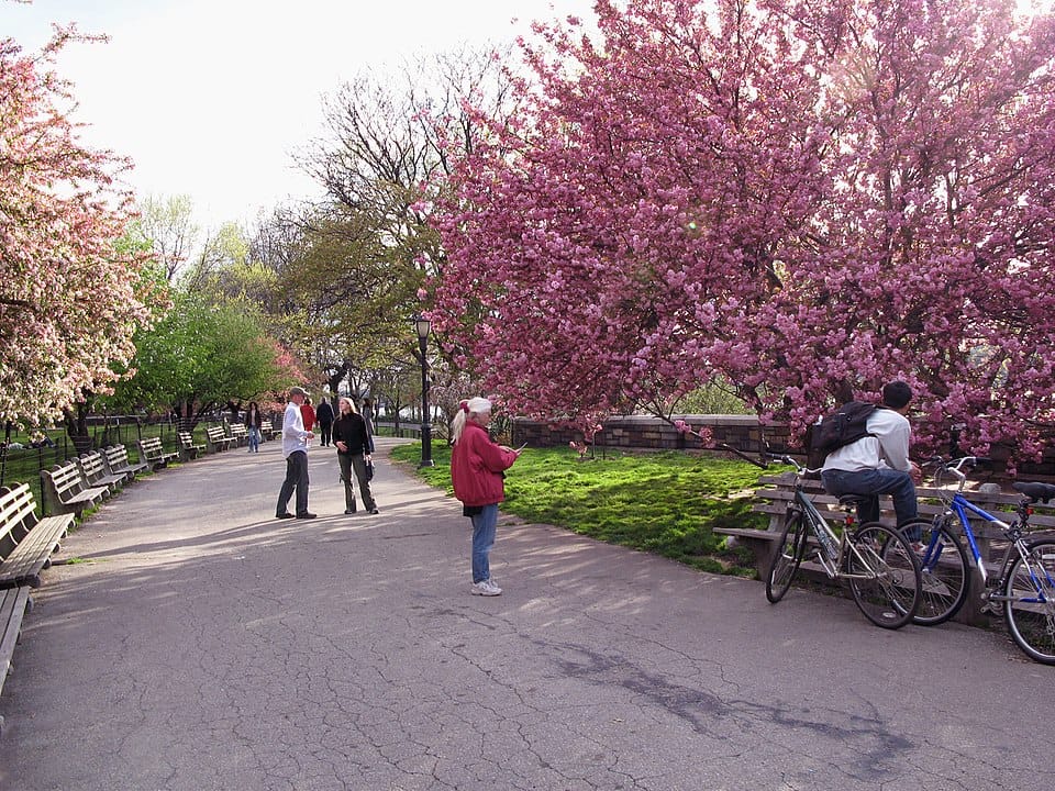 Riverside Park - Photo 1