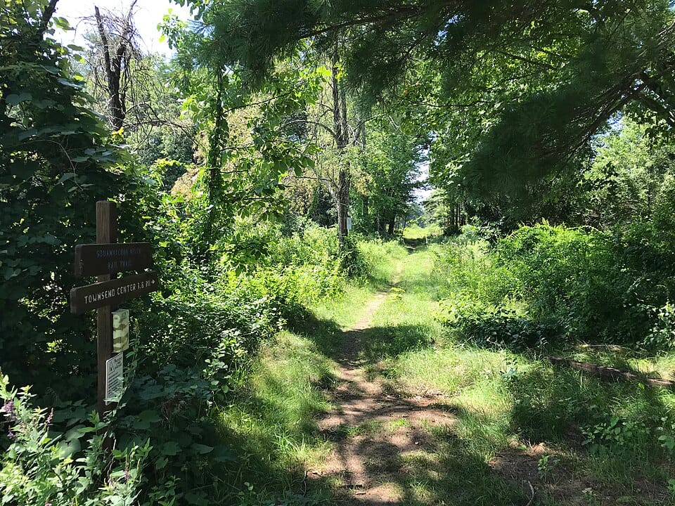 Harbor Pond - Photo 1