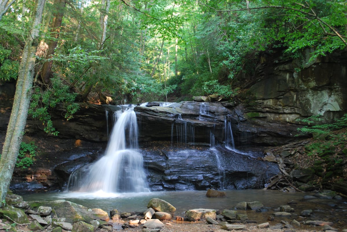 Holly River State Park - Photo 1