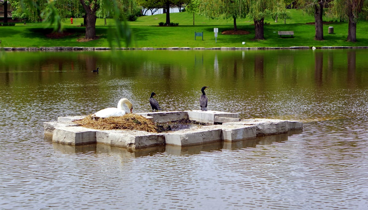 Volkening Lake - Photo 1