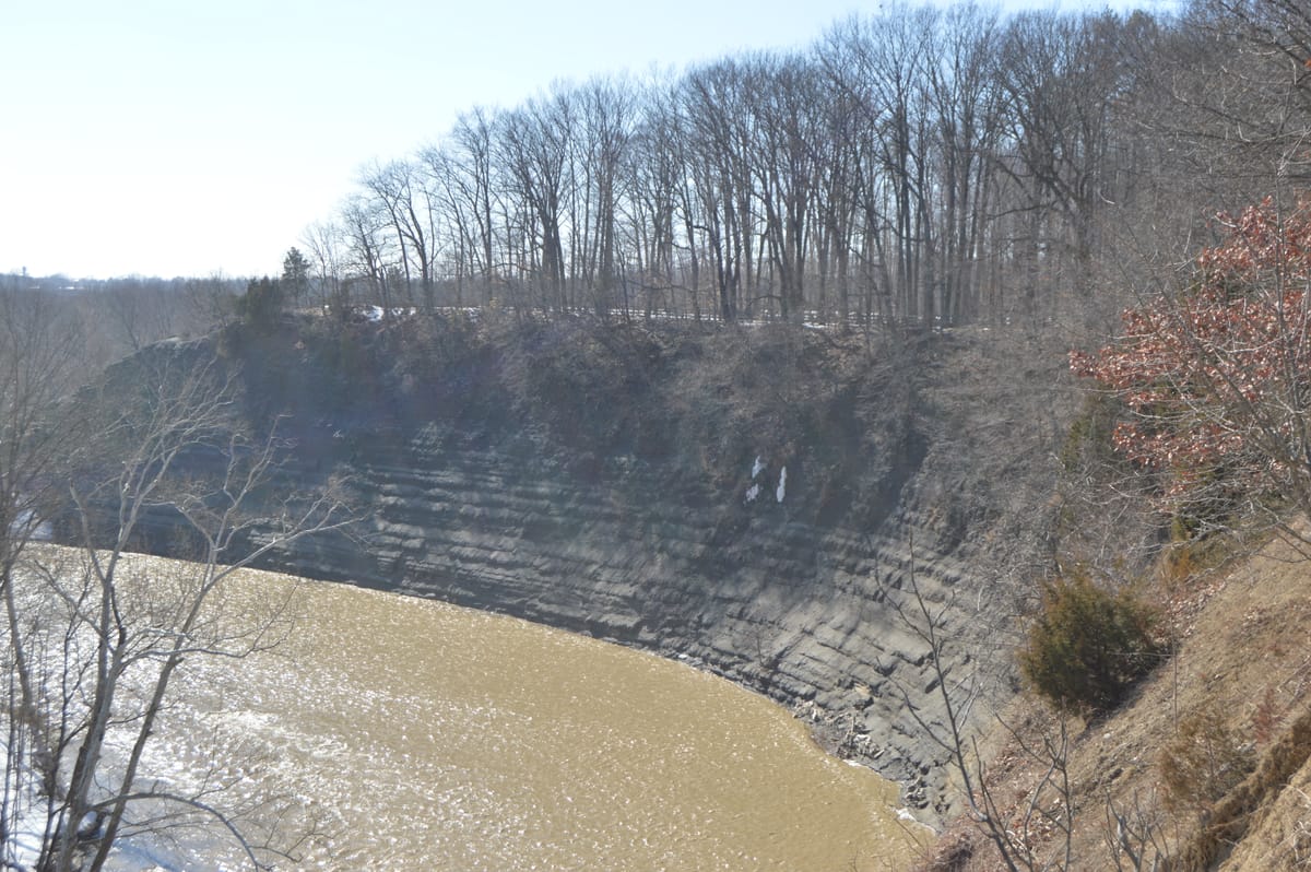 Rocky River Nature Center - Photo 1