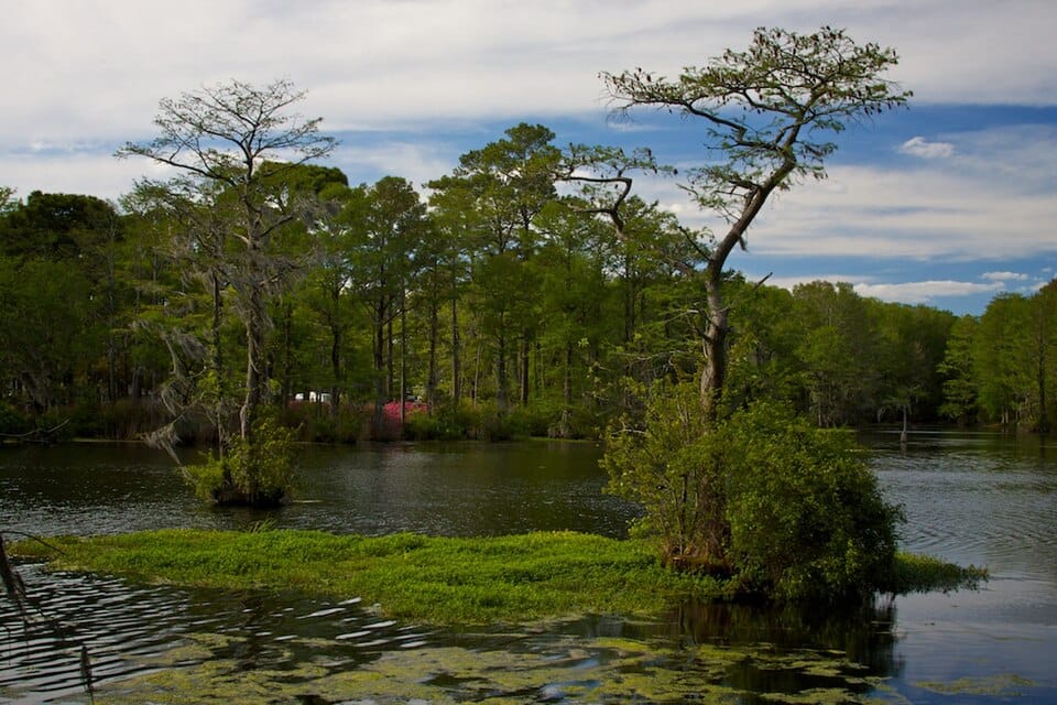 Greenfield Lake - Photo 1