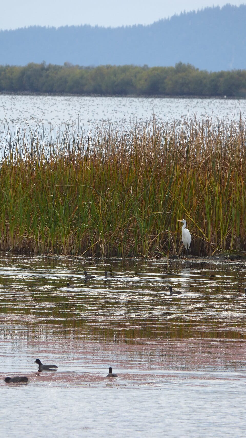 Wood River - Photo 1