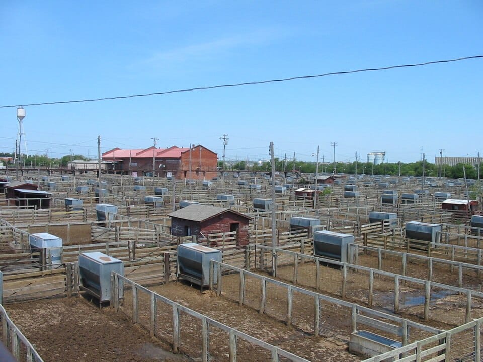 Oklahoma River Cruises - Stockyards Landing - Photo 1