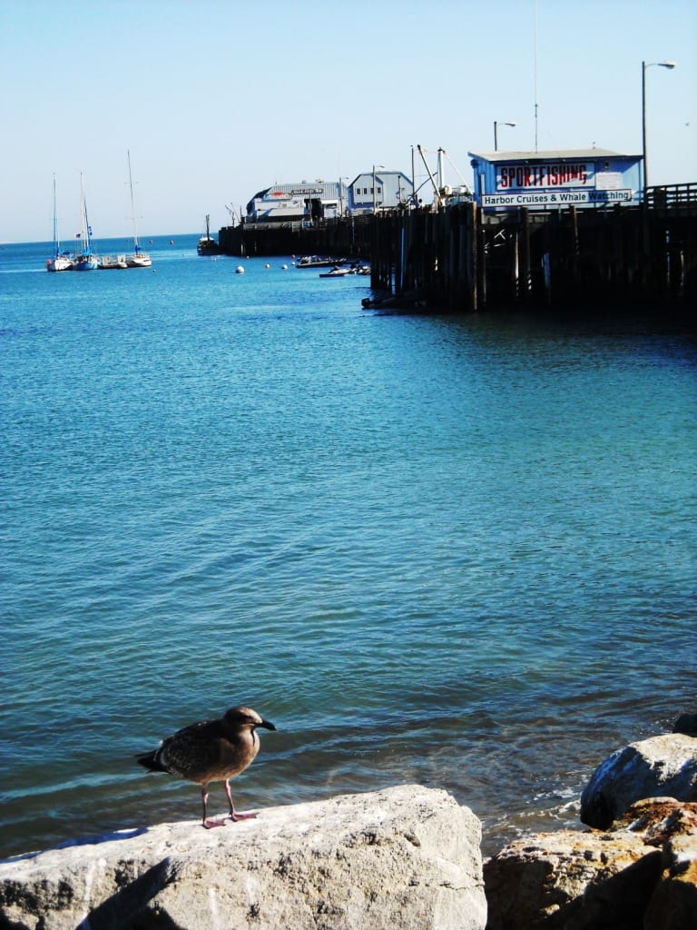 Fisherman's Beach - Photo 1