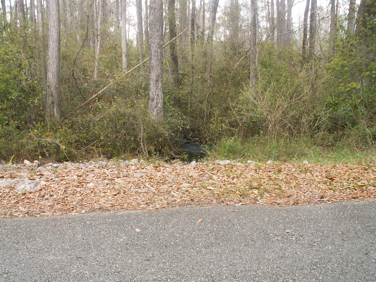 Lost Lake Park - Photo 1