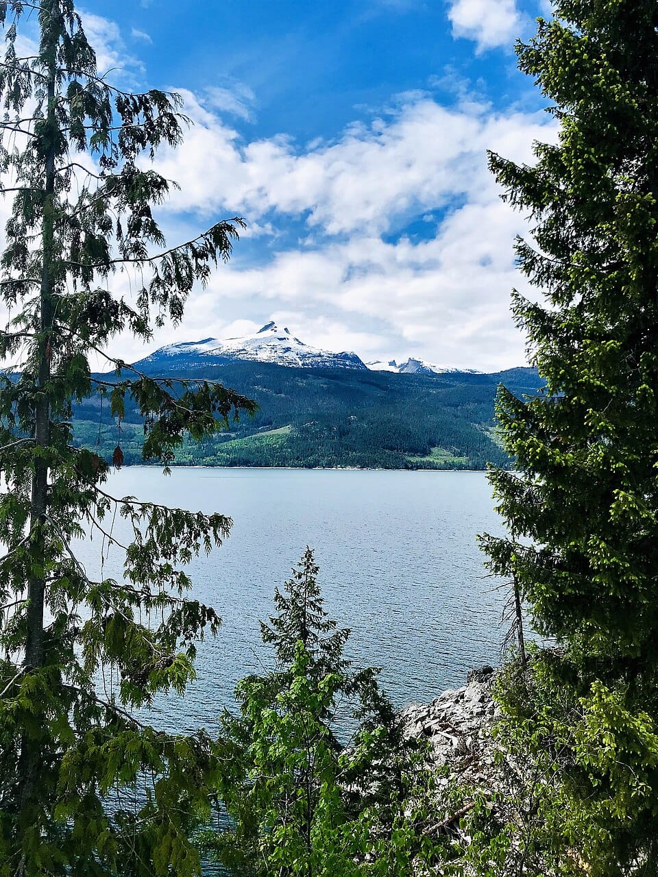 Lake Halcyon - Photo 1