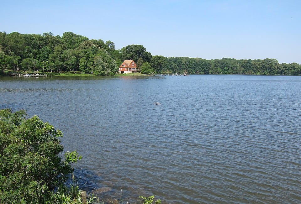Still Pond - Photo 1