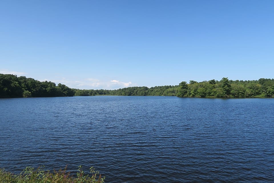Jacobs Pond - Photo 1