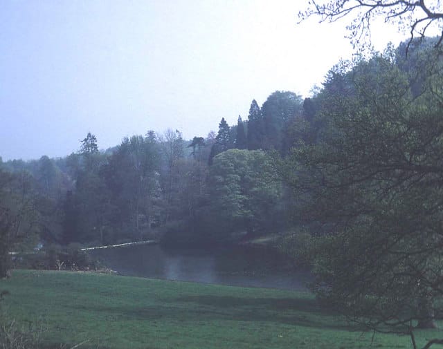 Lily Pond - Photo 1