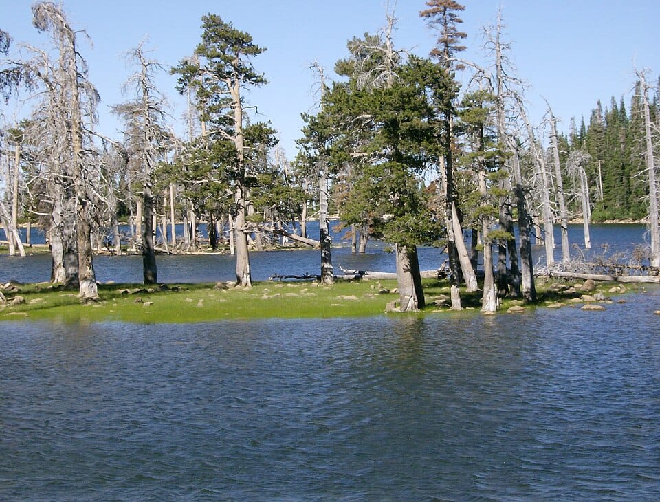 Lake Cleveland - Photo 1