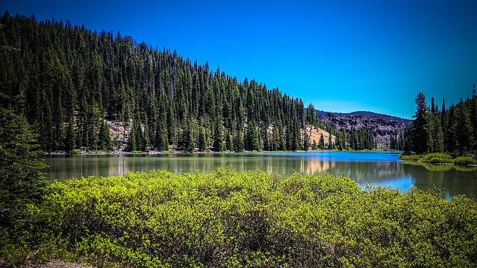 Todd Lake - Photo 1