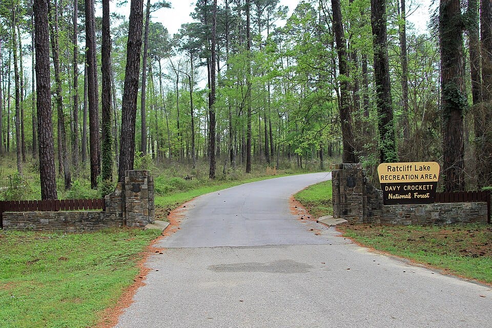 Ratcliff Lake Recreation Area - Photo 1