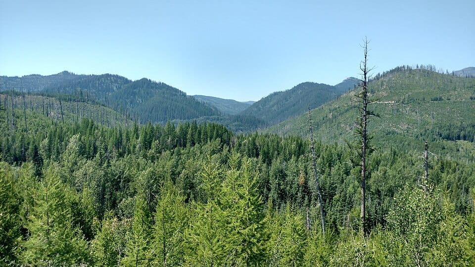 Canyon Creek - Photo 1