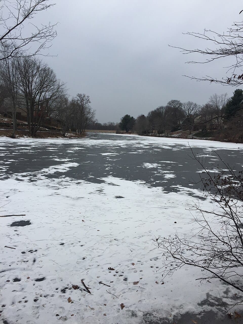 Lake Braddock - Photo 1