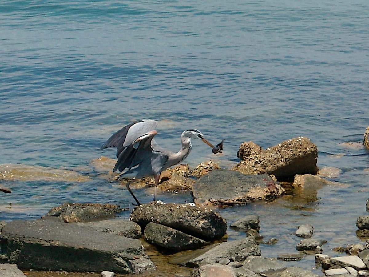 Gandy Beach - Photo 1