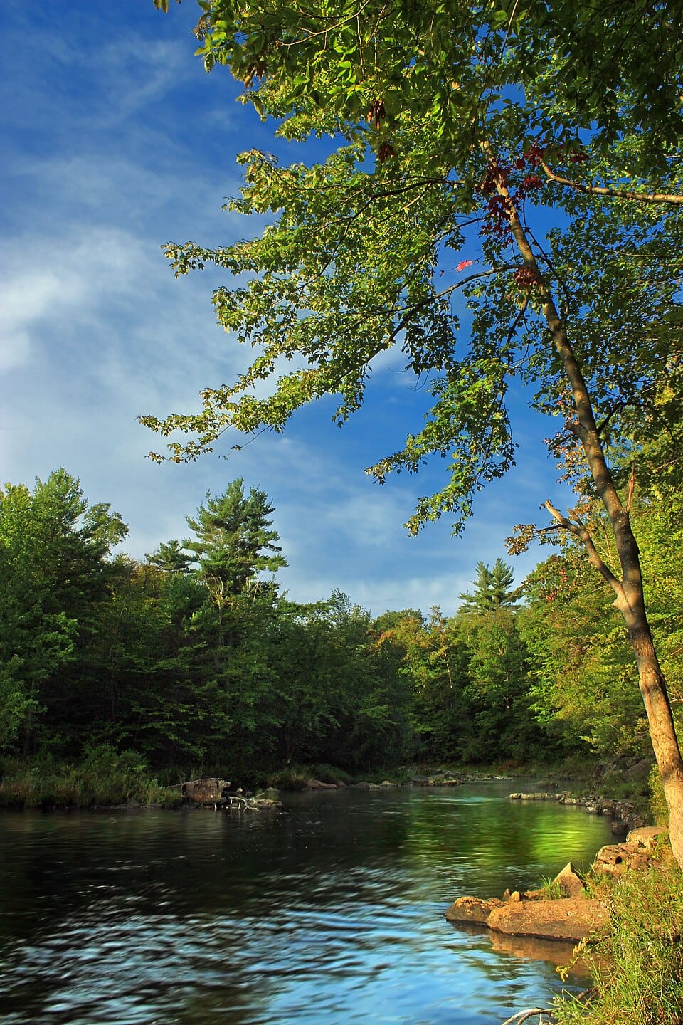 Lake Harmony - Photo 1