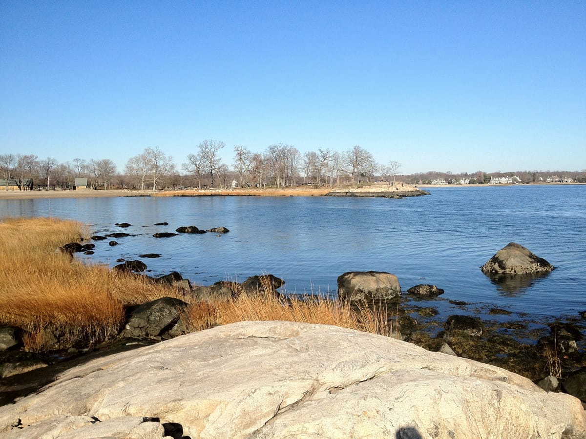 Cove Island - Photo 1