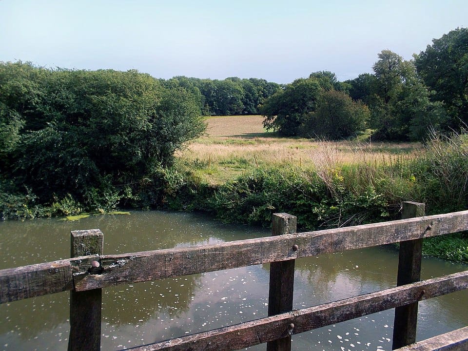 Eden Lake - Photo 1