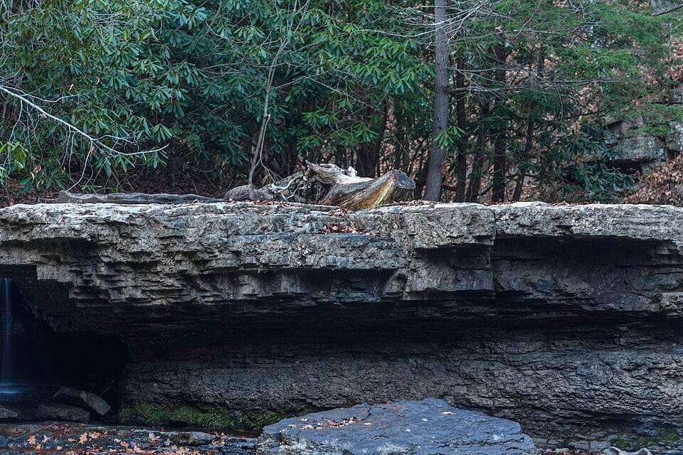 Camp Creek State Park - Photo 1