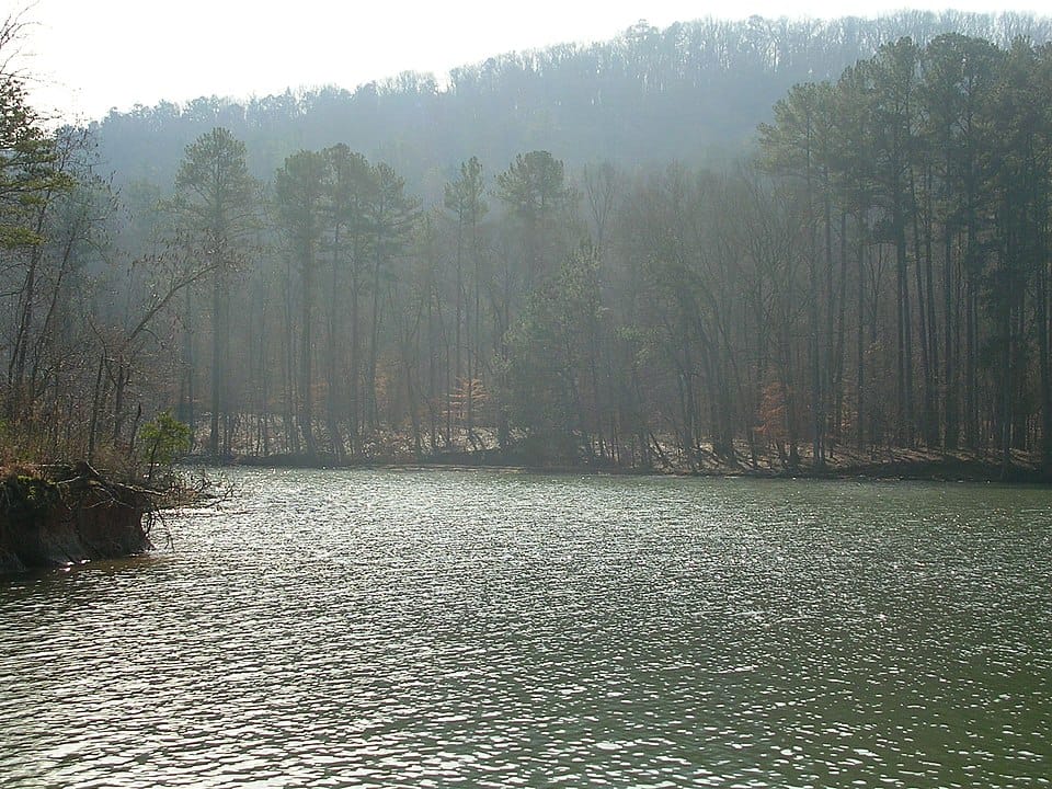 Beach Pavilion at Lake Guntersville State Park - Photo 1