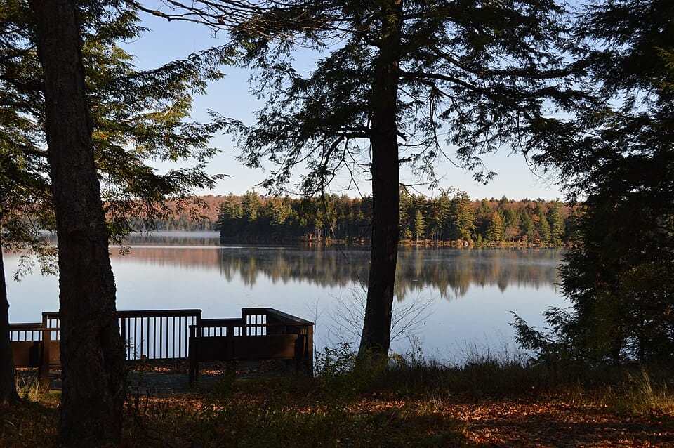 Bog River - Lower Dam - Photo 1