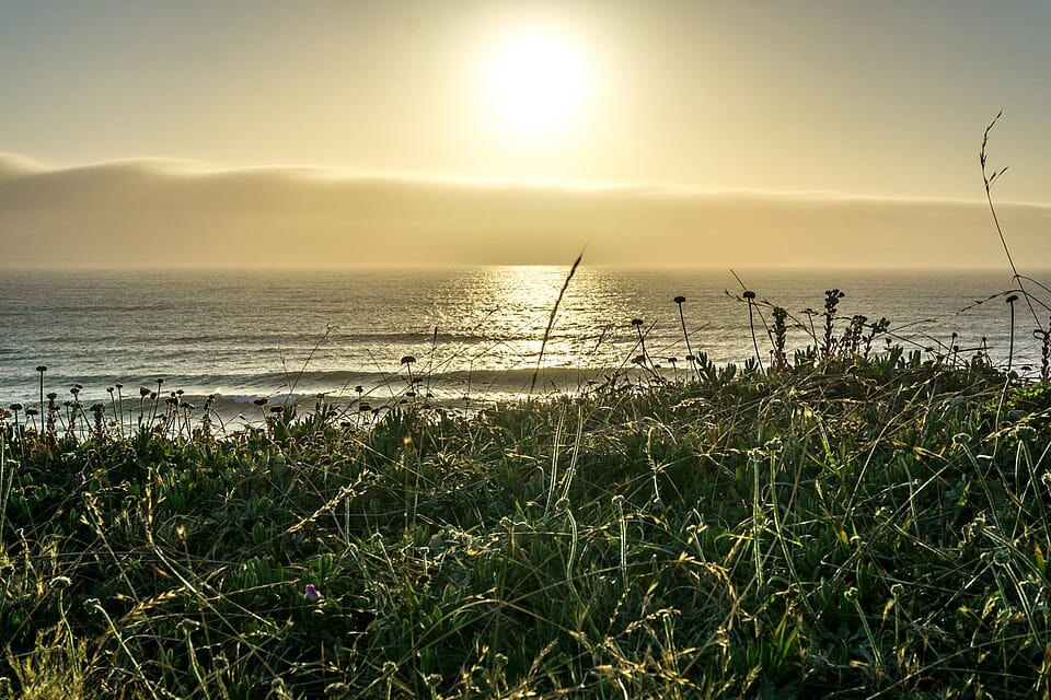 Pescadero Beach State Park N. - Photo 1