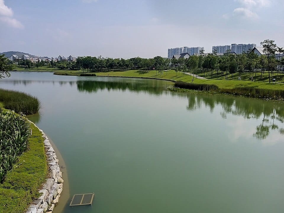 LakeView Vista - Photo 1