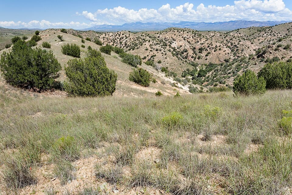 Bill Evans Lake - Photo 1