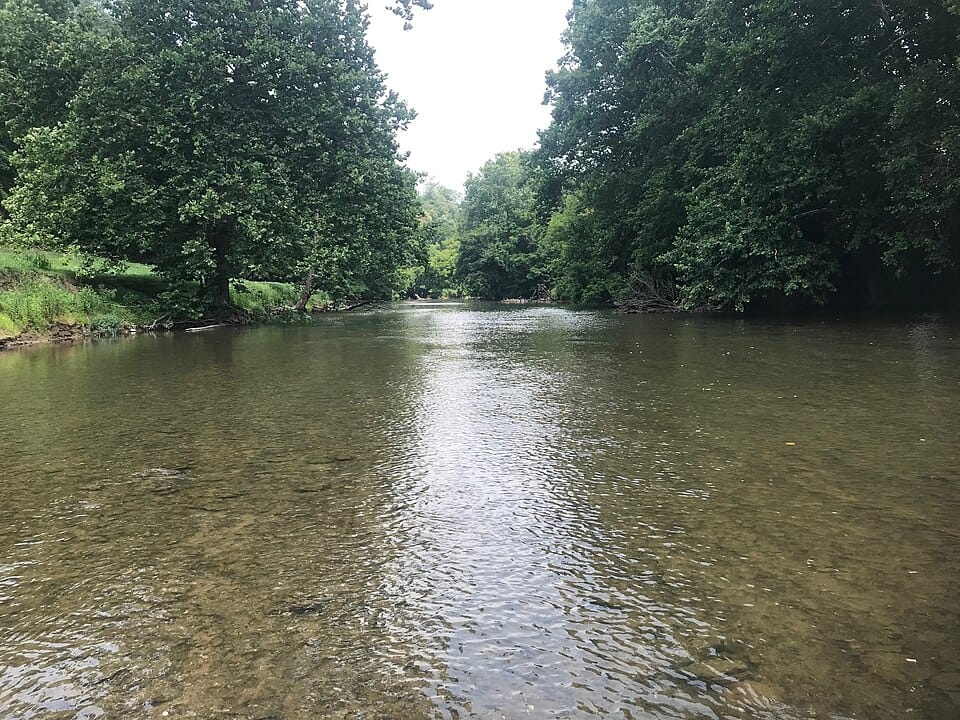 Lake Bonaventure - Photo 1