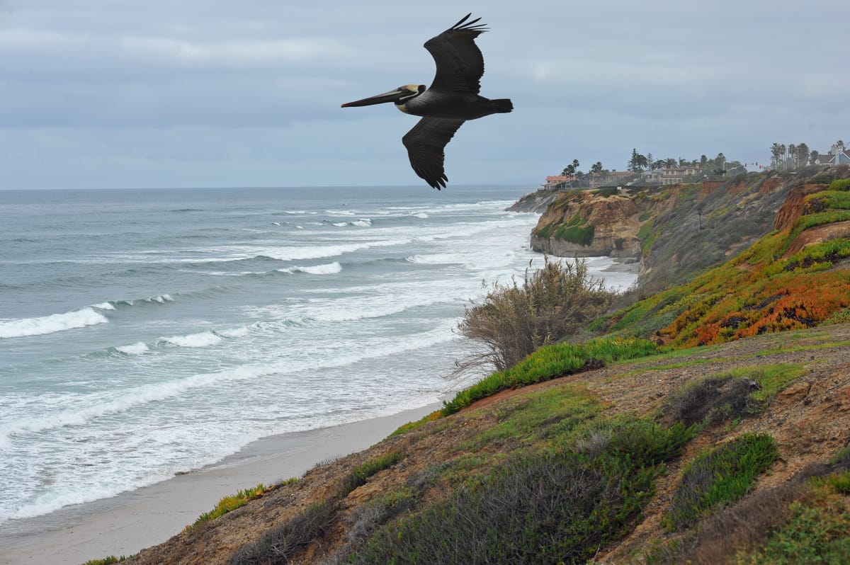 Turnarounds Beach - Photo 1