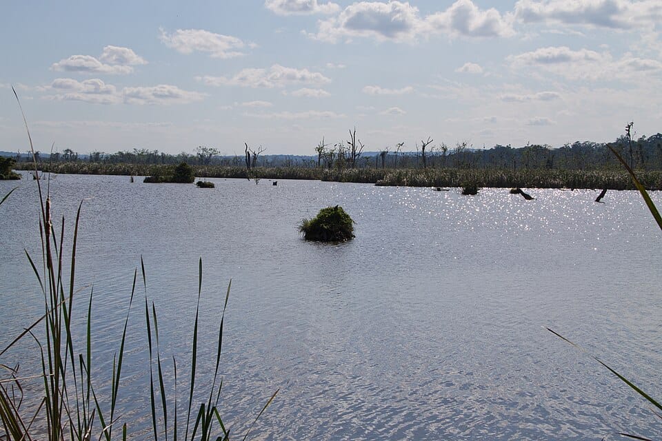 Green Hills Lake - Photo 1