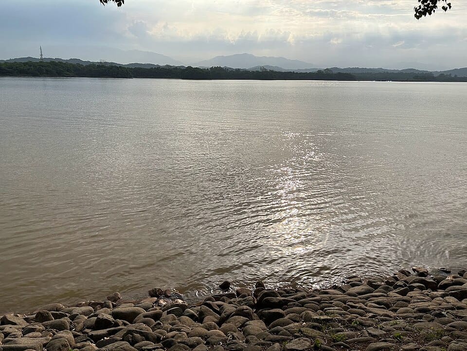 Sunny Hill Lake - Photo 1