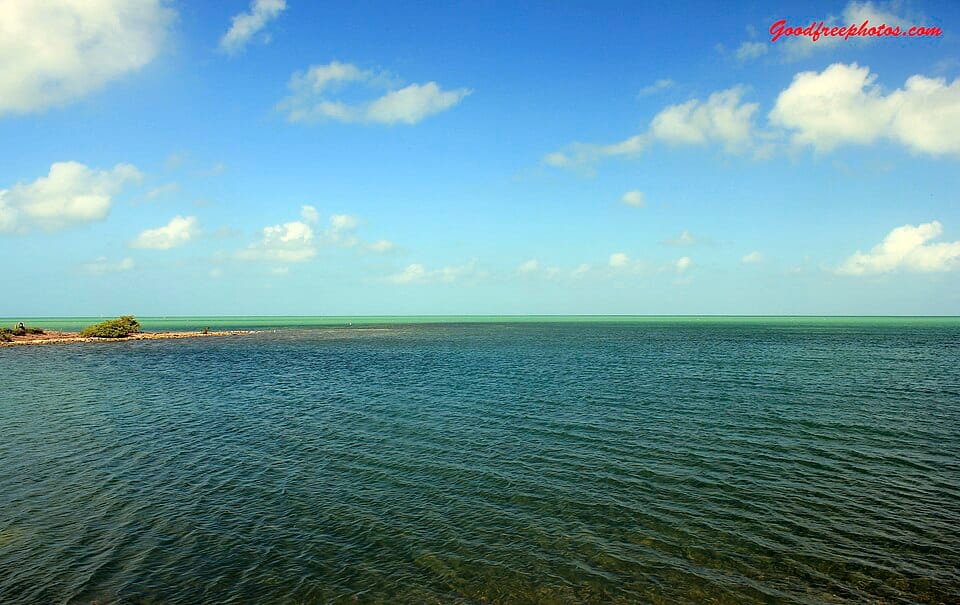 Cocoa Plum Beach - Photo 1