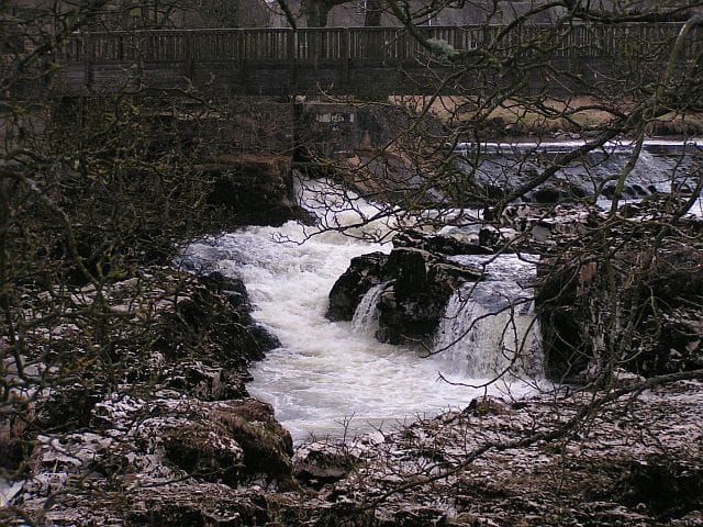 River Wharfe - Photo 1