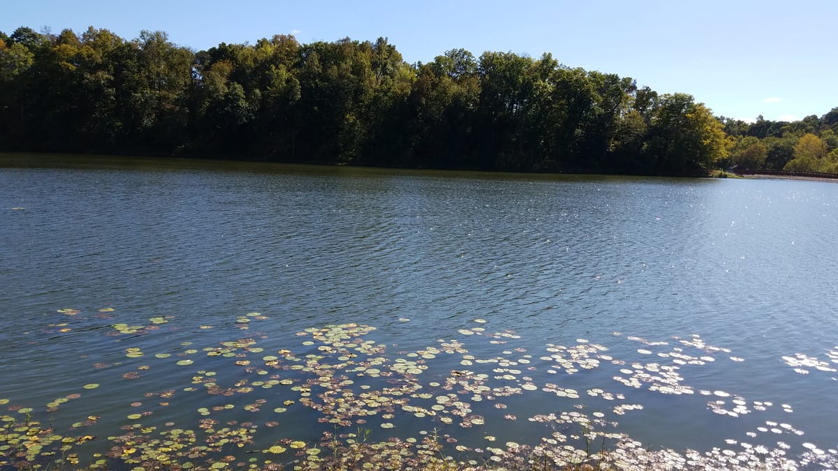 Lake Alma State Park - Photo 1