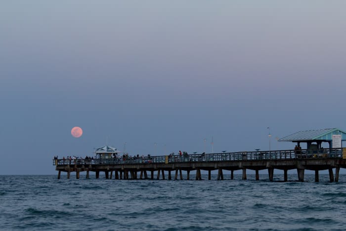Washingtonia Beach - Photo 1