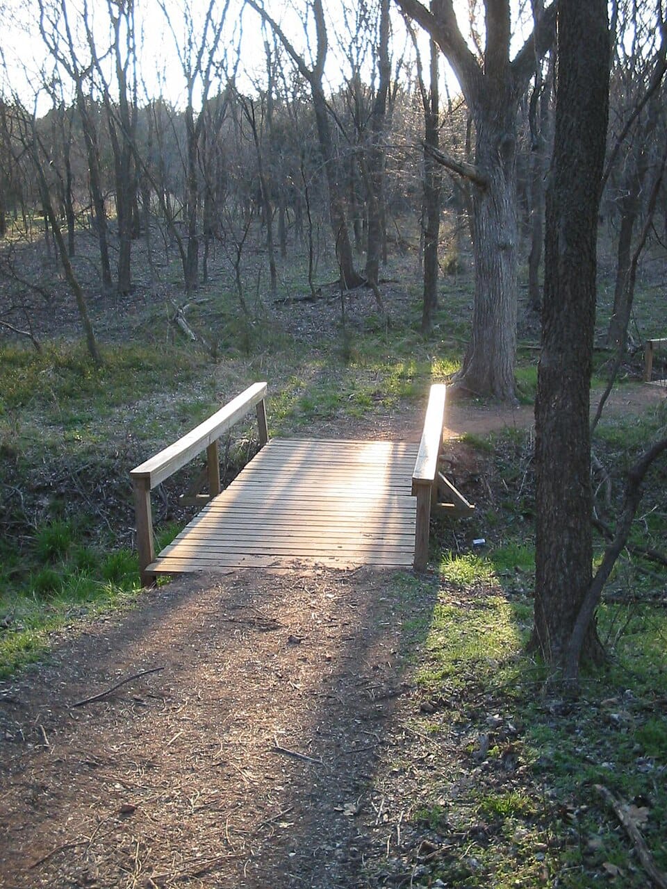 Lake Arcadia - Photo 1