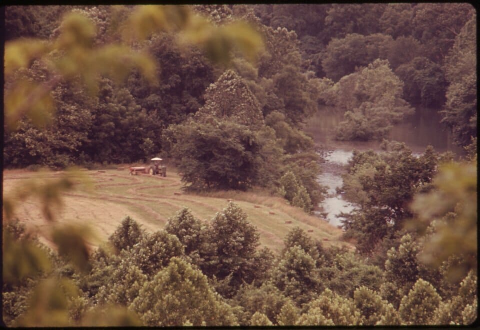 Niangua River - Photo 1