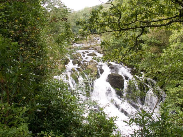 Swallow Falls - Photo 1