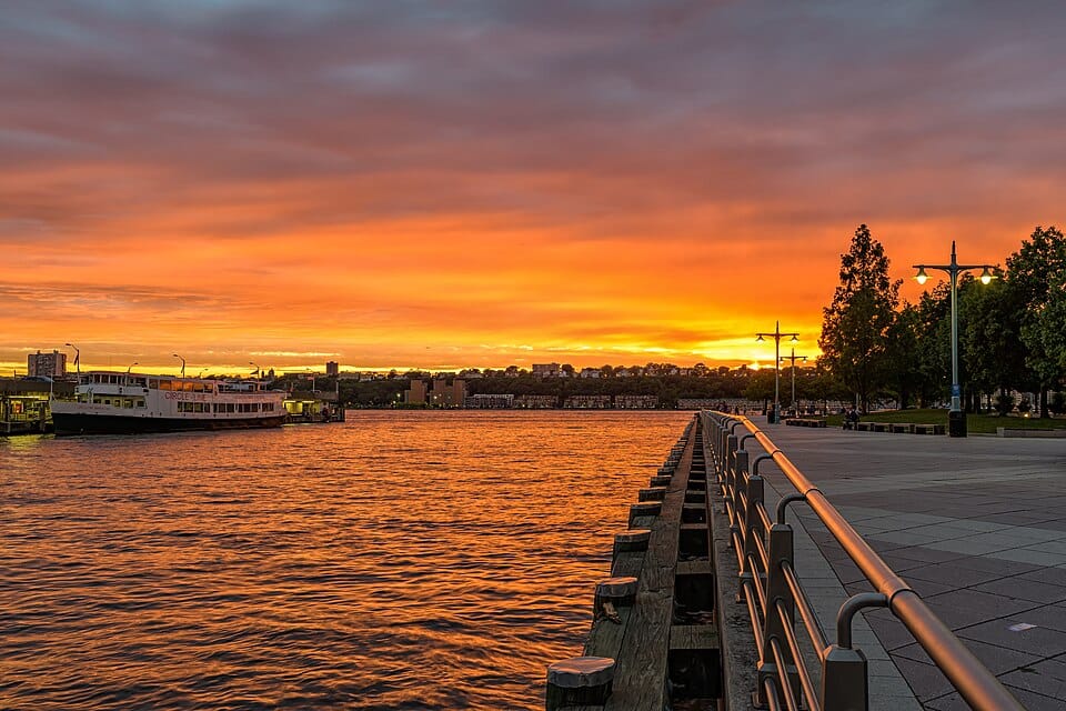 Pier 84 Dog Run - Photo 1
